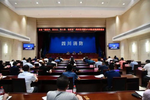 嚴查消防隱患，筑牢安全防線——四川消防技術服務機構專項檢查取得階段性成效